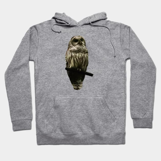 Owl Hoodie by Oregon Art Shop